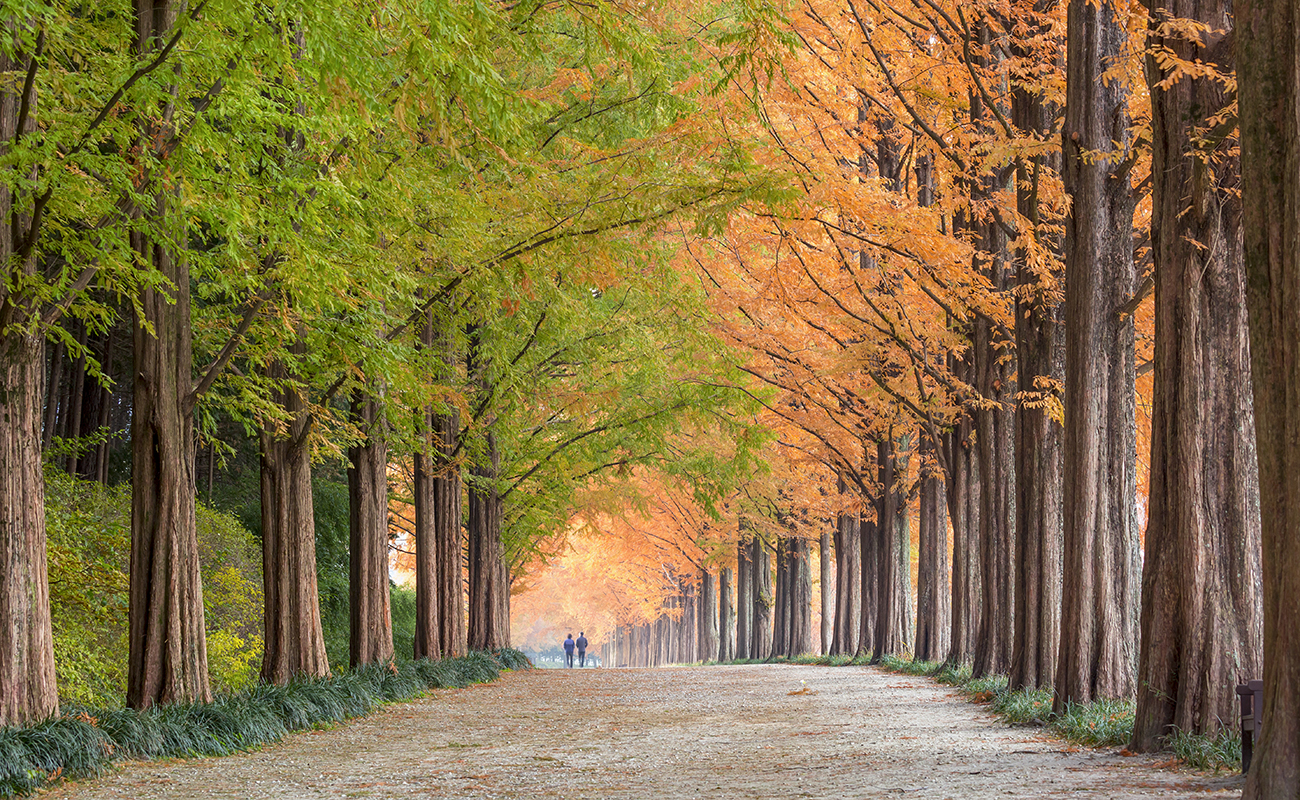 모악산-금성산-고덕산 <br>조망권 프리미엄